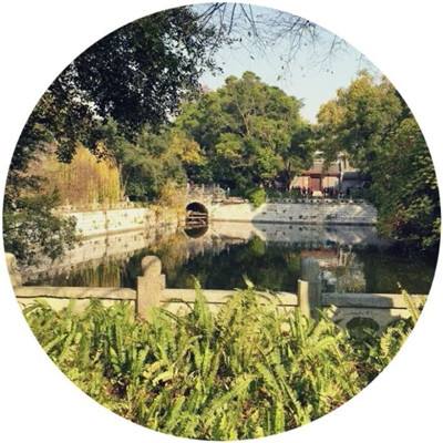 发现旋律破解版下载